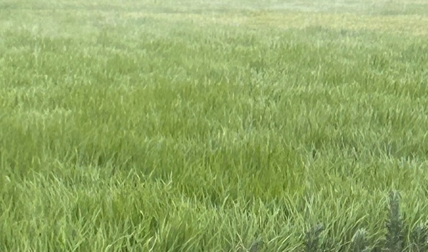 image0.jpeg