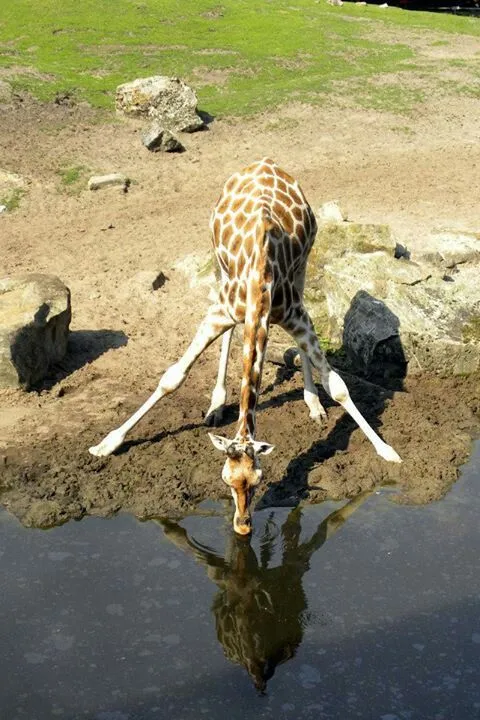 写メ日記 つかさ 3/6(金) 00:29