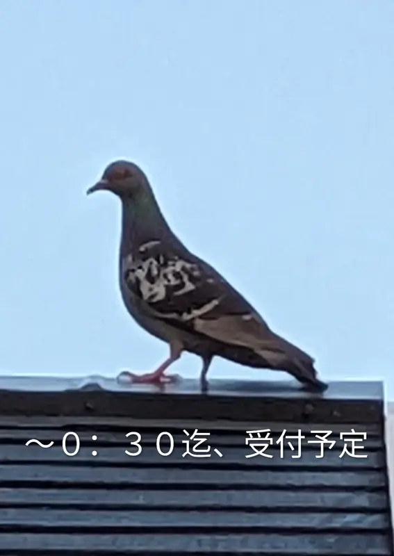 写メ日記 つかさ 6/2(火) 16:43
