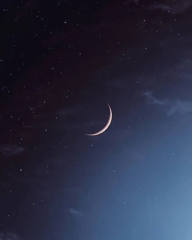 写メ日記 さく 3/5(木) 02:06