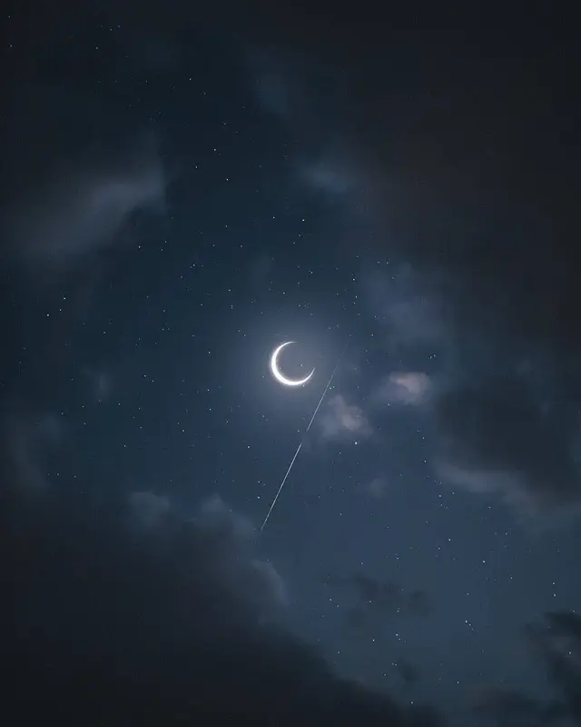 写メ日記 さく 3/8(日) 03:03