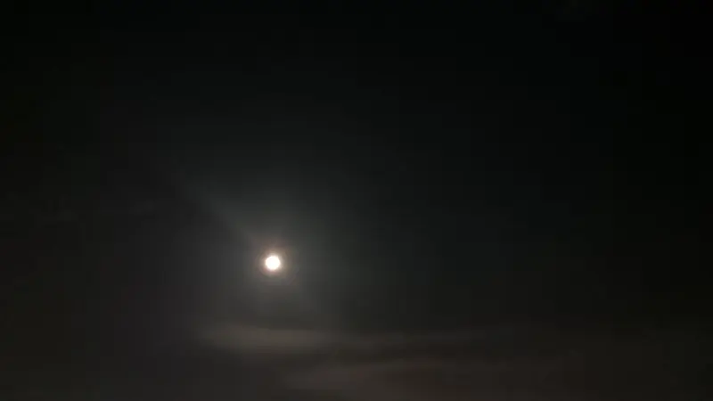 写メ日記 しずく 7/29(水) 23:25