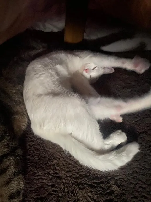 写メ日記 くいん 4/22(水) 19:23