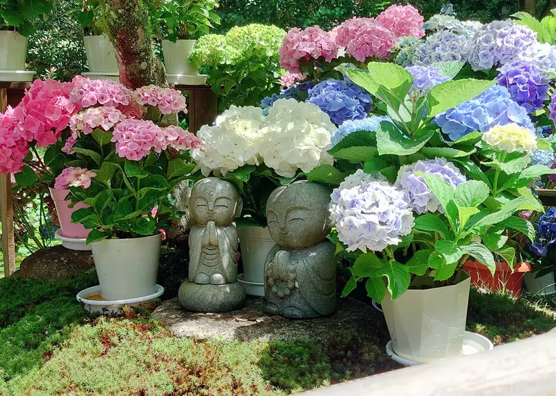写メ日記 ほのか 6/30(火) 21:01