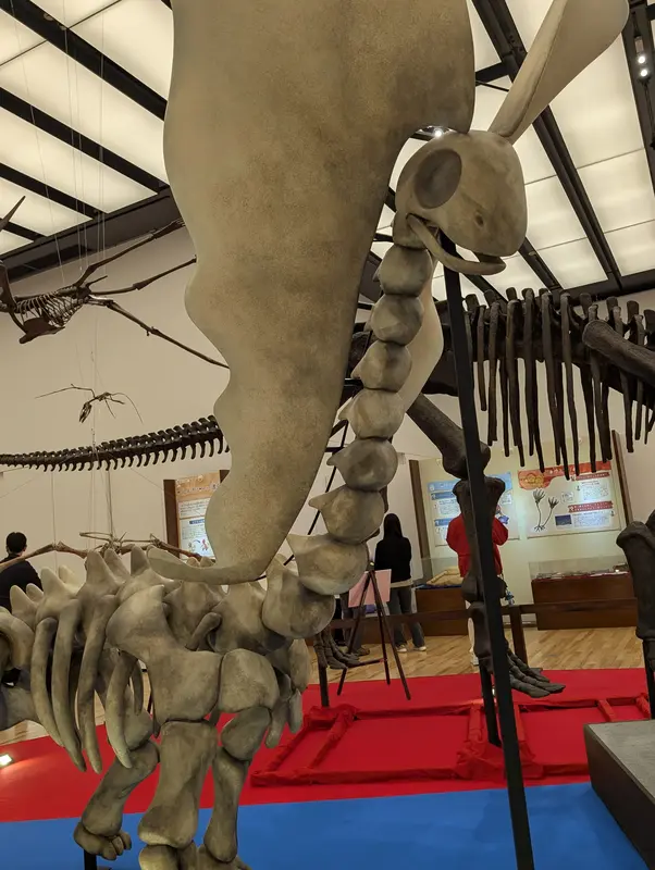 写メ日記 多田朱美 4/4(土) 11:36