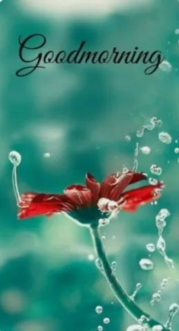 写メ日記 大島かおり 9/29(火) 09:14