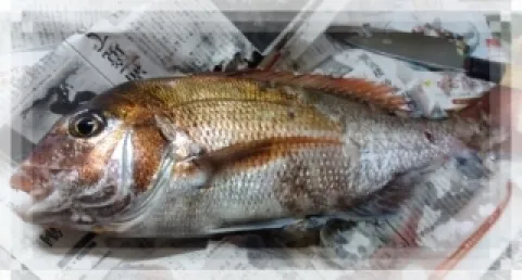 写メ日記 木佐貫あかね 3/18(水) 20:28