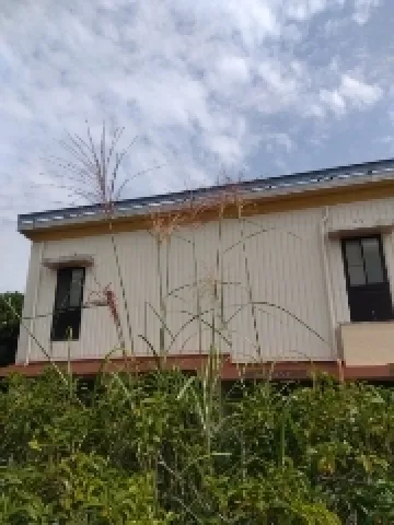 写メ日記 木佐貫あかね 10/24(土) 12:02