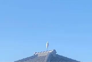 写メ日記 花村まどか 10/15(木) 08:24