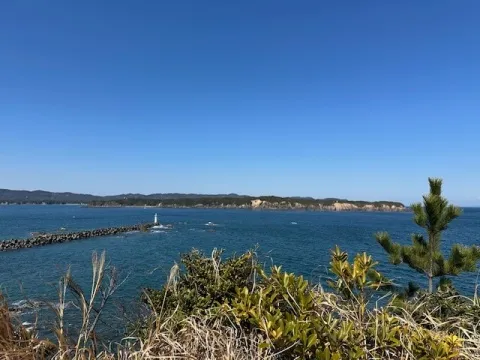 写メ日記 雨宮優子 3/23(月) 09:14