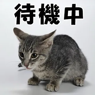 写メ日記 三上りこ 4/18(土) 11:44