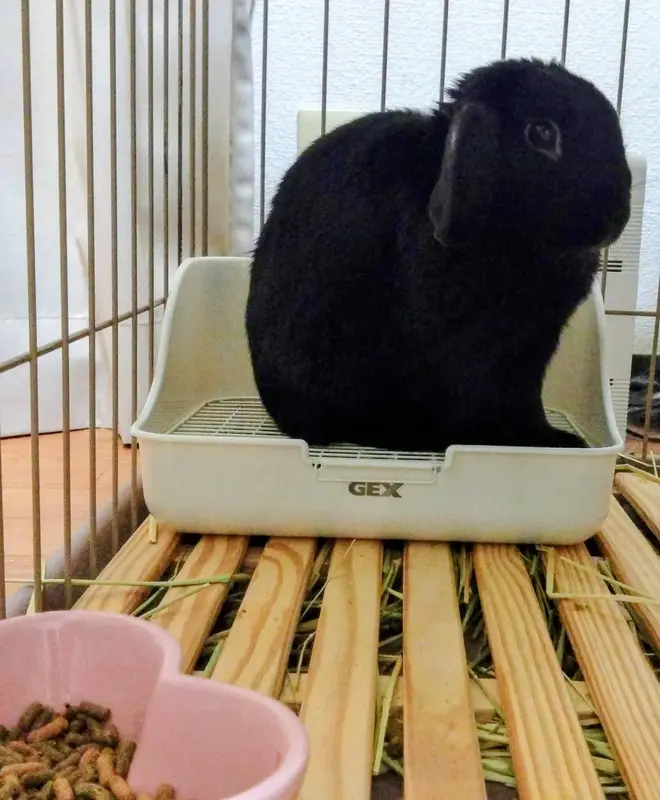 写メ日記 篠原尚美 4/19(日) 22:32