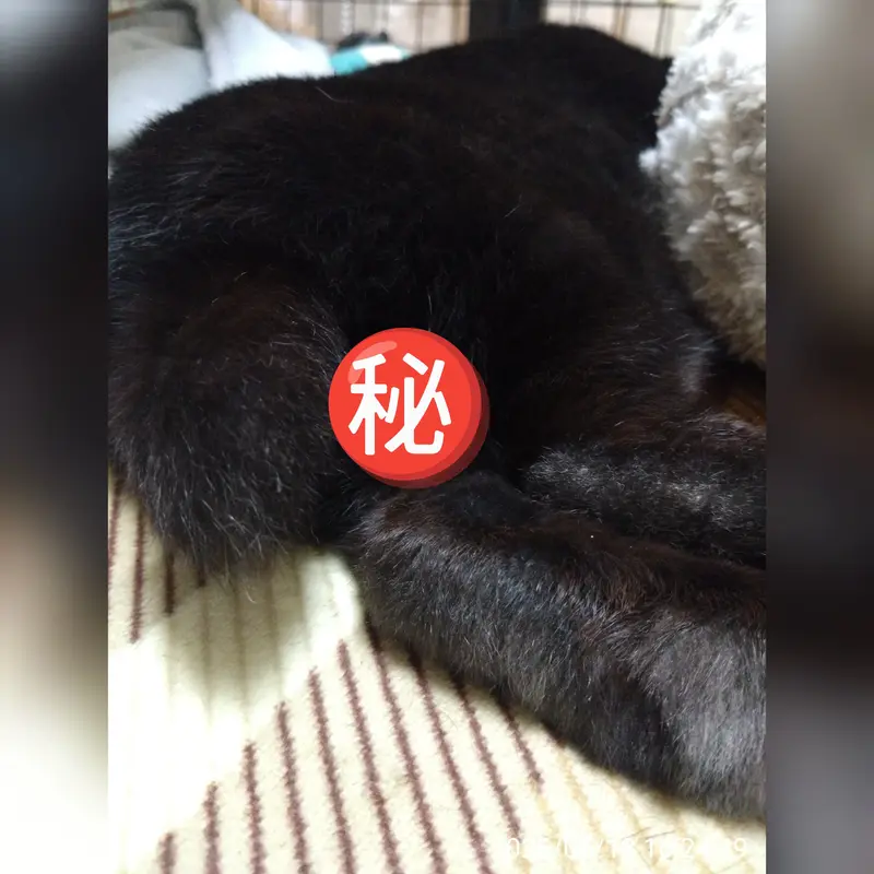 写メ日記 篠原尚美 7/27(月) 10:44