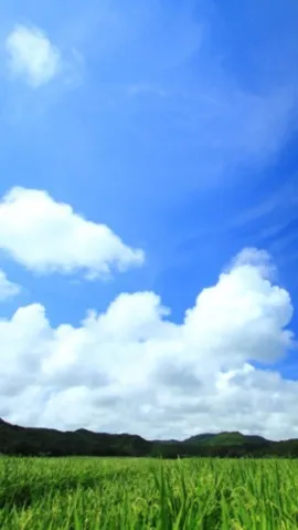 写メ日記 黒木さゆり 9/18(金) 00:24