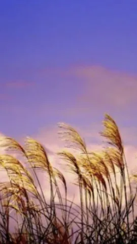写メ日記 黒木さゆり 10/16(金) 19:24