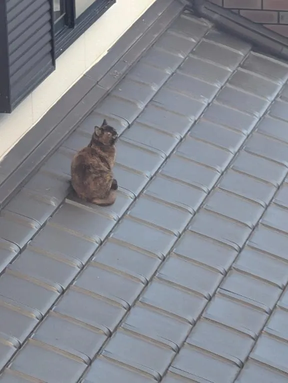 写メ日記 まいな 3/12(木) 21:04