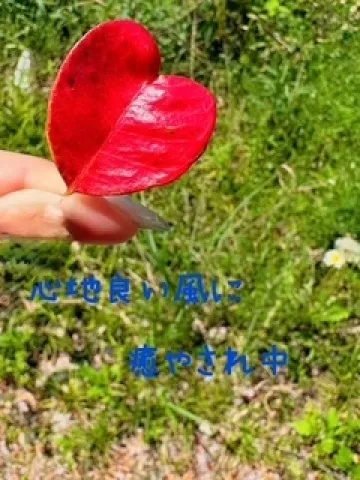 写メ日記 川嶋れい 4/12(日) 12:24