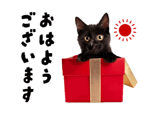 写メ日記 上杉あずさ 9/7(月) 09:48