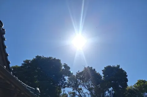 写メ日記 宮本恵美子 3/11(水) 16:02