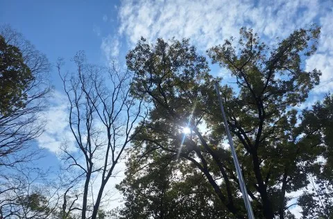 写メ日記 宮本恵美子 3/23(月) 10:46