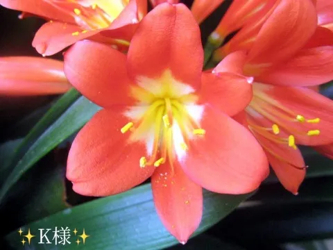 写メ日記 小山真帆 3/5(木) 20:20