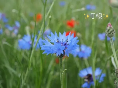 写メ日記 小山真帆 3/6(金) 08:04