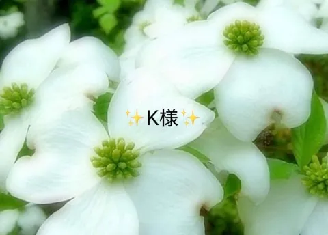 写メ日記 小山真帆 3/24(火) 11:40