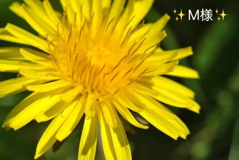 写メ日記 小山真帆 3/24(火) 18:18