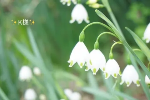 写メ日記 小山真帆 4/17(金) 11:10