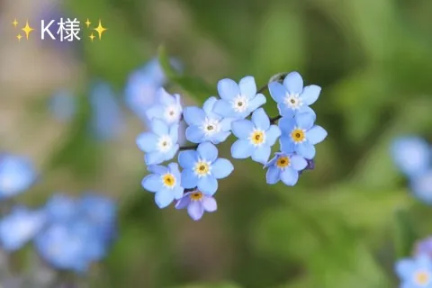 写メ日記 小山真帆 4/22(水) 14:40