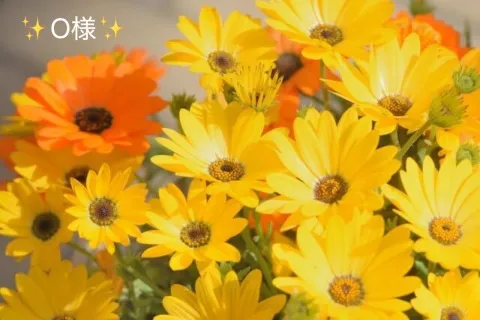 写メ日記 小山真帆 6/30(火) 11:04