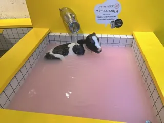 写メ日記 佐藤天 10/1(木) 22:24