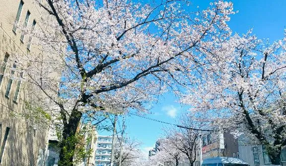 写メ日記 えま 4/2(木) 13:11