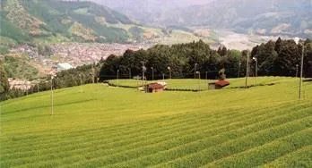 写メ日記 ふうか 4/21(火) 12:04