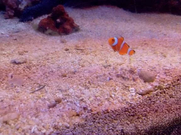 写メ日記 あかね 10/11(日) 23:11