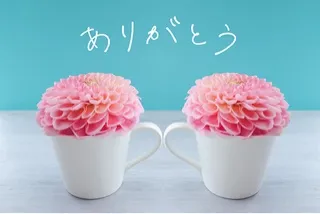 写メ日記 つくし 3/13(金) 22:34