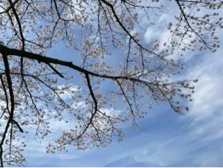 写メ日記 あみ 4/10(金) 21:26