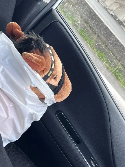 写メ日記 まこと 4/1(水) 14:46