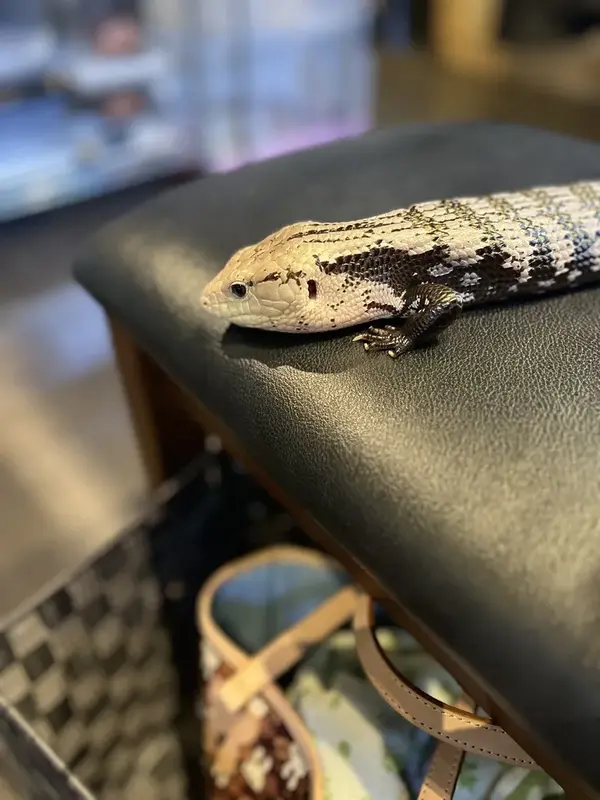 写メ日記 まこと 4/17(金) 16:44