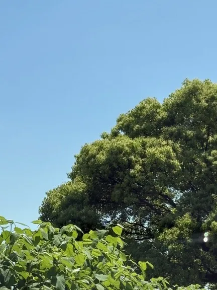 写メ日記 みき 6/10(水) 21:24
