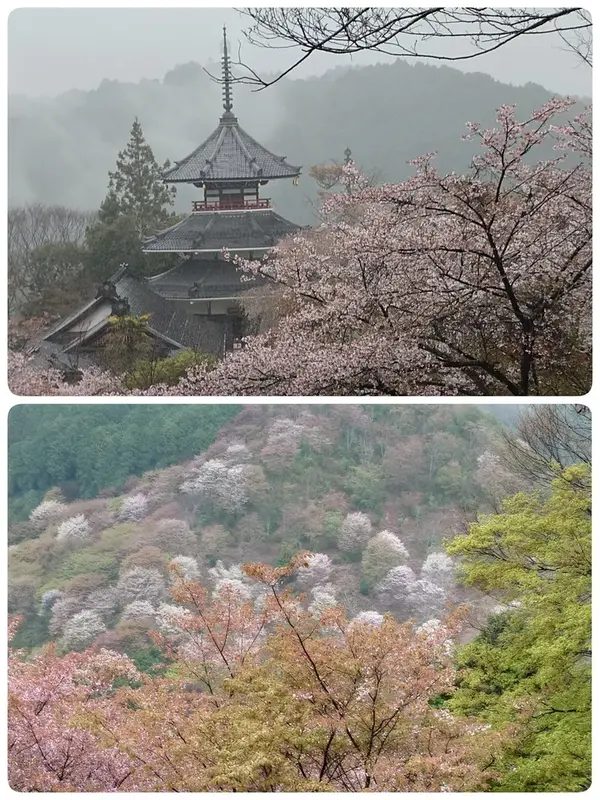 写メ日記 いちか 4/8(水) 07:10