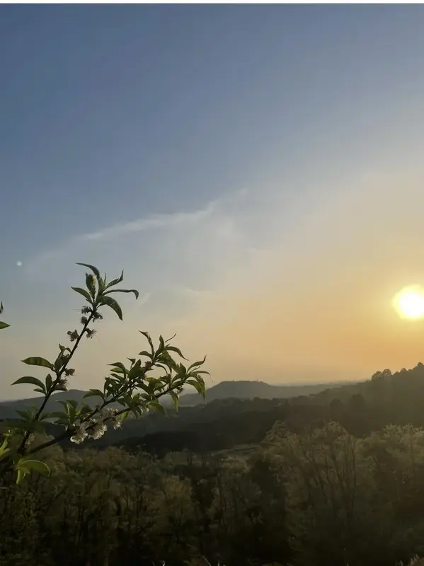 写メ日記 アーシャ 3/12(木) 05:48