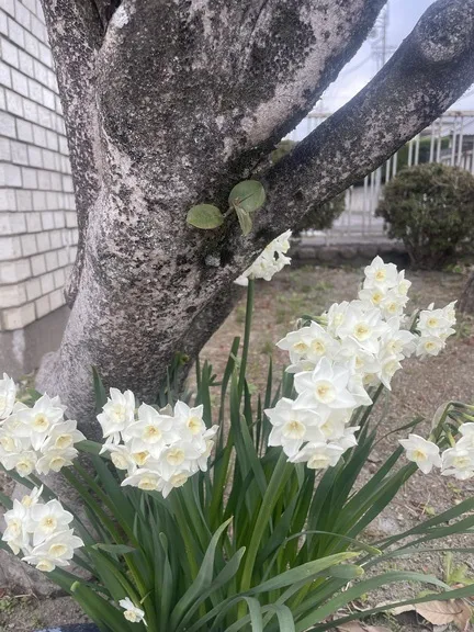 写メ日記 アーシャ 3/19(木) 09:31