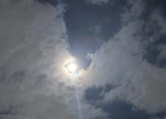 写メ日記 みだら 4/12(日) 08:36