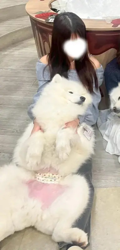 写メ日記 のん 3/6(金) 02:33