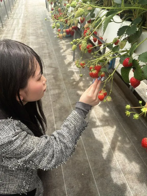 写メ日記 はるか 4/19(日) 16:34