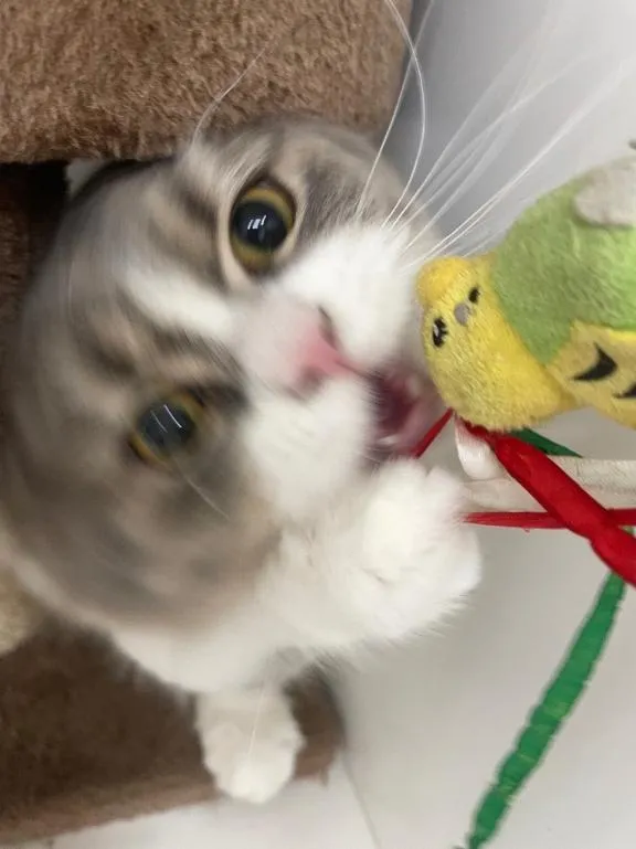 写メ日記 あずさ 3/26(木) 13:04