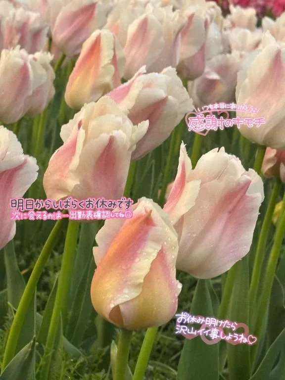 写メ日記 せいら 4/18(土) 15:43