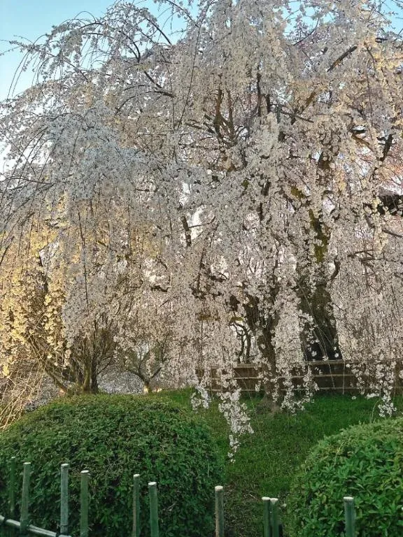 写メ日記 和香 3/27(金) 23:33