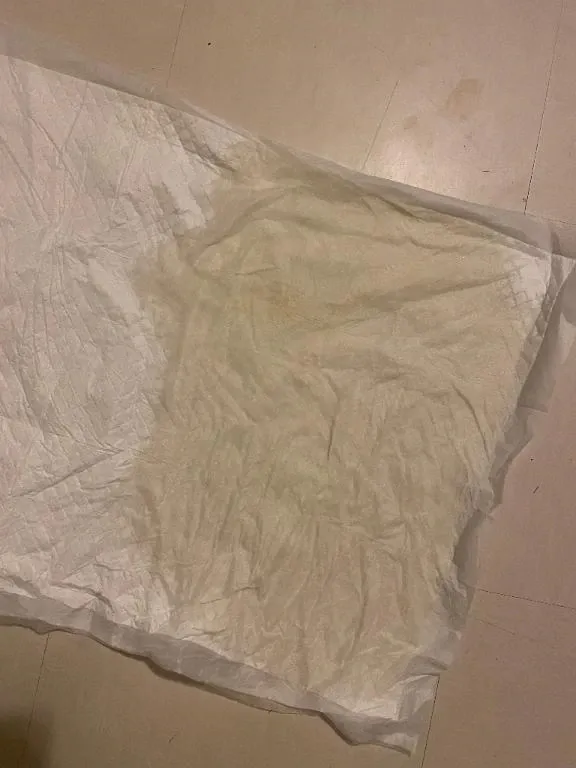 写メ日記 真綾 4/15(水) 21:37